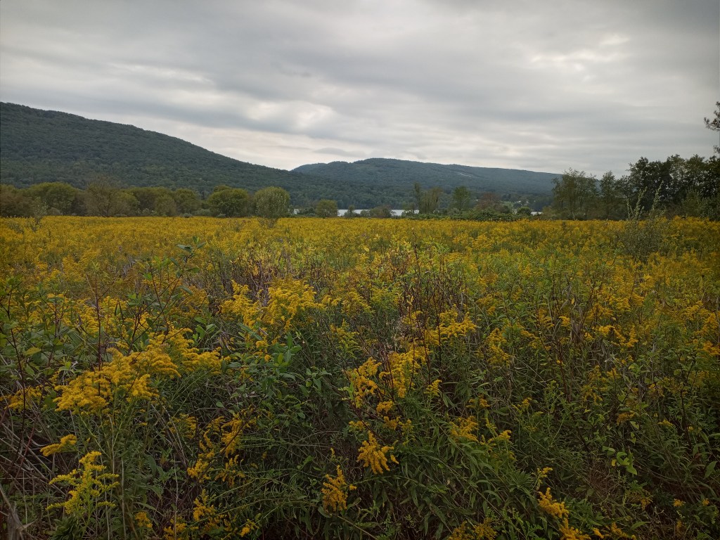 Field and mountains at Bald Eagle State Park