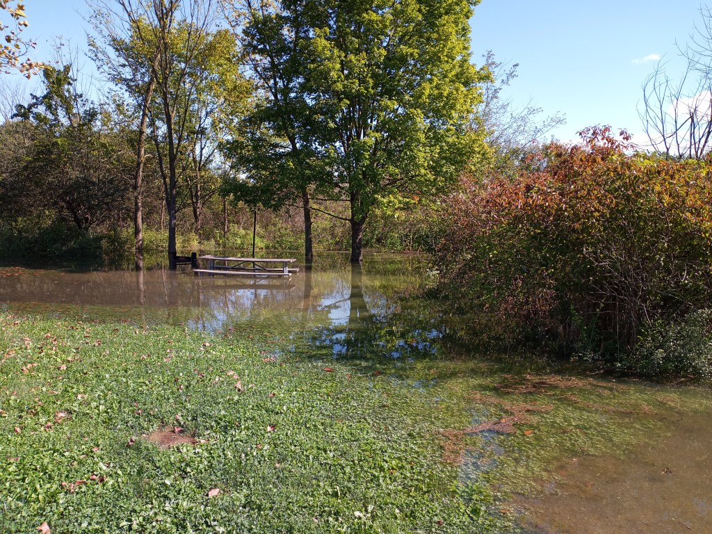 Flooding at a campsite